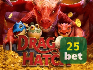 25BET9 PIX instantâneo Brasil - Depósito e saque em minutos 24/7